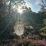 Unique Location On A Large Sunny Natural Plot *