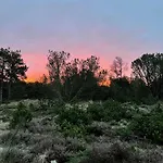 Unique Location On A Large Sunny Natural Plot