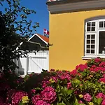 Unique Location On A Large Sunny Natural Plot Ålbæk