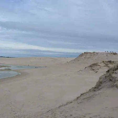 Unique Location On A Large Sunny Natural Plot Ålbæk