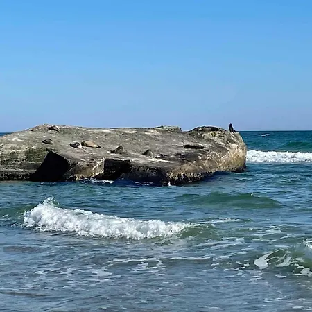 Unique Location On A Large Sunny Natural Plot Hébergement de vacances *