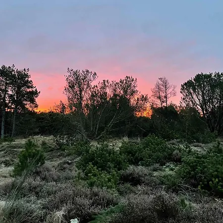 Unique Location On A Large Sunny Natural Plot *