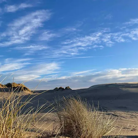 Unique Location On A Large Sunny Natural Plot * Ålbæk