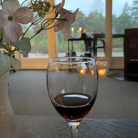 Unique Location On A Large Sunny Natural Plot Ålbæk