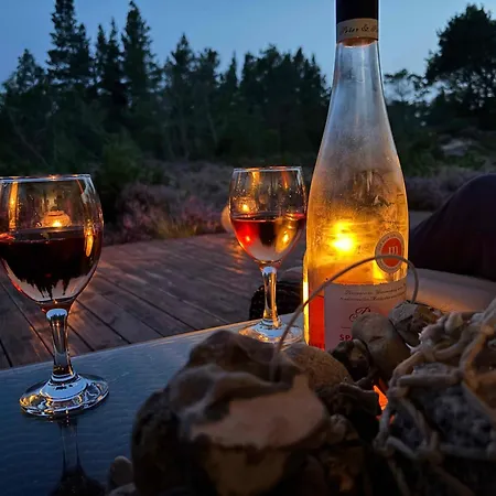 Unique Location On A Large Sunny Natural Plot 度假居 Ålbæk