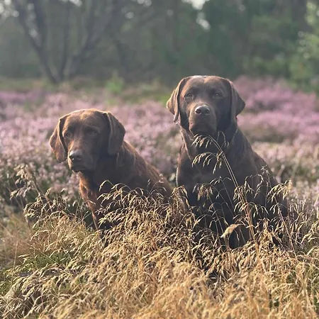 Semesterbostad Unique Location On A Large Sunny Natural Plot