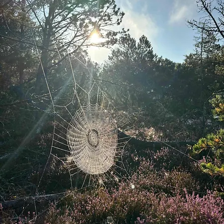 Unique Location On A Large Sunny Natural Plot *
