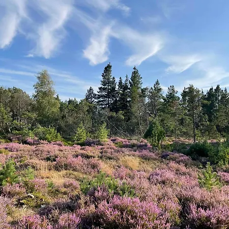 Unique Location On A Large Sunny Natural Plot * Ålbæk