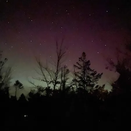 Unique Location On A Large Sunny Natural Plot Feriehus *