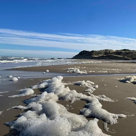Unique Location On A Large Sunny Natural Plot