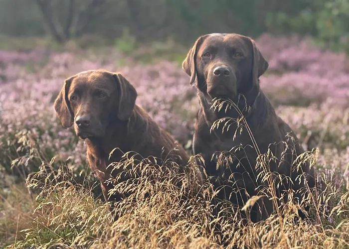 بيت للعطل Unique Location On A Large Sunny Natural Plot