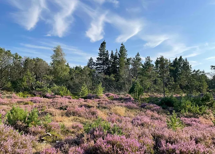 Unique Location On A Large Sunny Natural Plot * Ålbæk