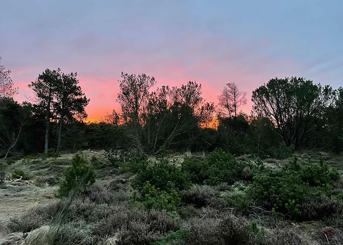 Unique Location On A Large Sunny Natural Plot