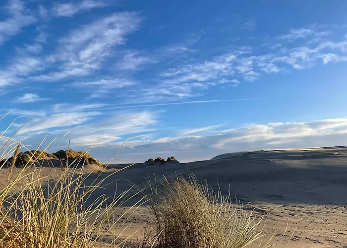 Unique Location On A Large Sunny Natural Plot *