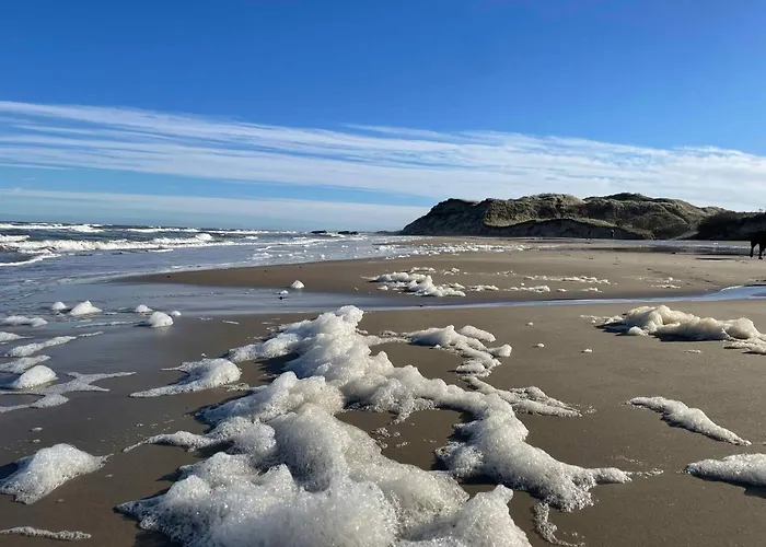 Unique Location On A Large Sunny Natural Plot