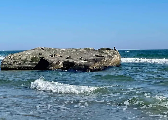 Unique Location On A Large Sunny Natural Plot *